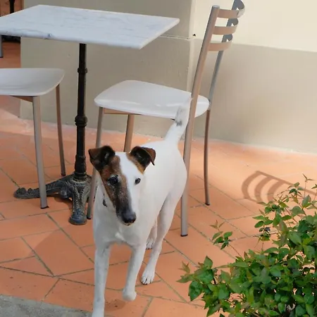 Il Leone Bed & Breakfast Florence